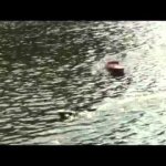 FRI FART Svalan 2014.avi - FRI FART Svalan 2014.avi